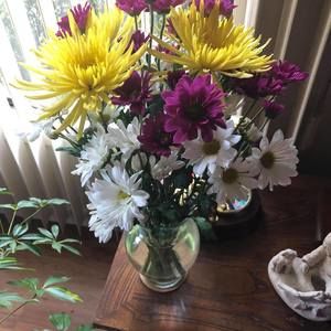 Meet your Posher, Sheila